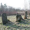  Hasidic cemetery
