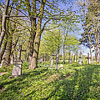 Старое кладбище с надгробиями XIX в . вокруг церкви 