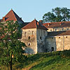  Свиржский замок (XVI в.) 