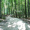  The Monk's Mountain in Univ
