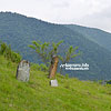  Jewish cemetery
